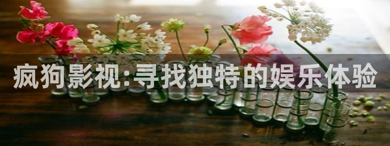 下载南瓜电影：疯狗影视:寻找独特的娱乐体验