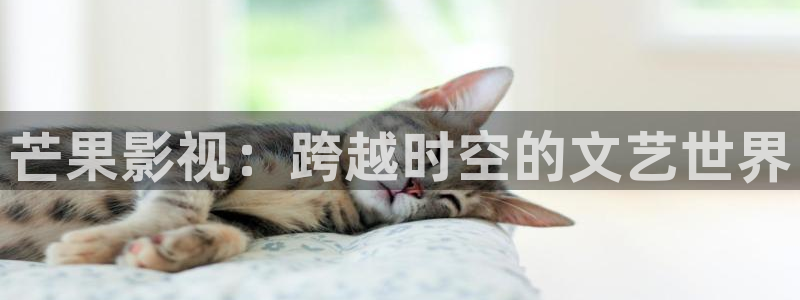 南瓜影院网页版：芒果影视：跨越时空的文艺世界