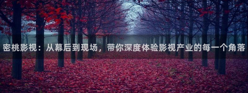 南瓜河北：密桃影视：从幕后到现场，带你深度体验影视产业的每一个角落