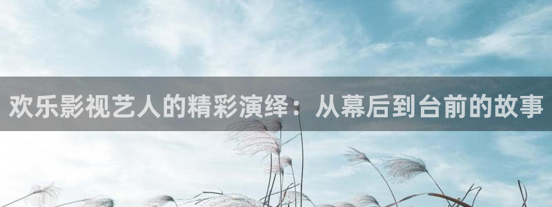 东北南瓜：欢乐影视艺人的精彩演绎：从幕后到台前的故事