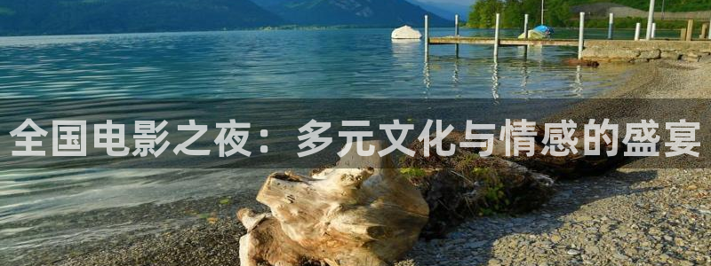 南瓜电影是什么：全国电影之夜：多元文化与情感的盛宴