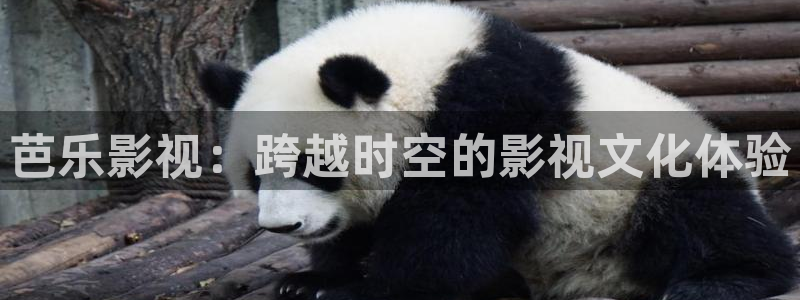 蜜本南瓜四川：芭乐影视：跨越时空的影视文化体验