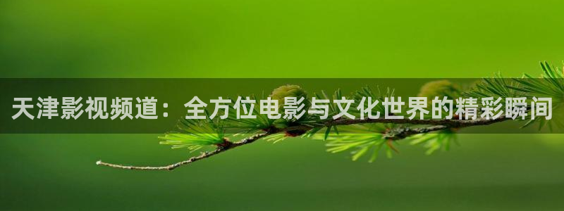 南瓜影视2020版：天津影视频道：全方位电影与文化世界的精彩瞬间