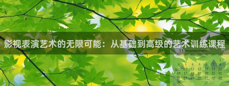 南瓜电影在线：影视表演艺术的无限可能：从基础到高级的艺术训练课程