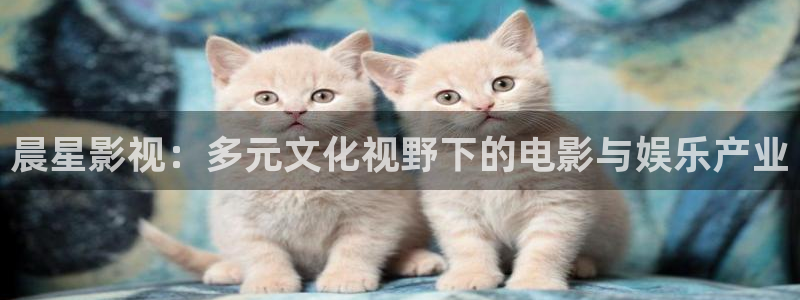 南瓜影视最新版下载：晨星影视：多元文化视野下的电影与娱乐产业