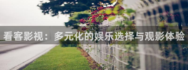 的南瓜：看客影视：多元化的娱乐选择与观影体验