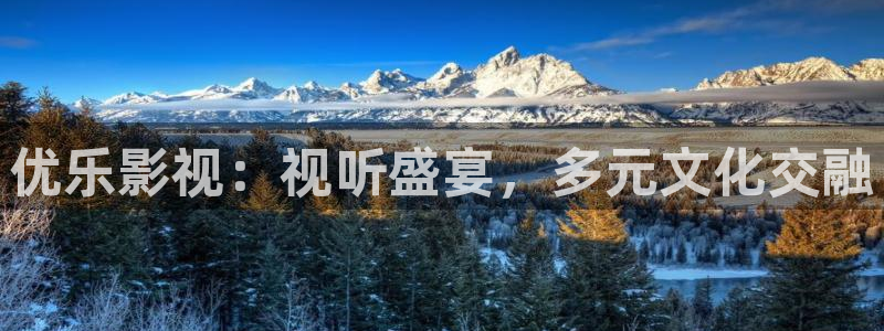 南瓜窝：优乐影视：视听盛宴，多元文化交融
