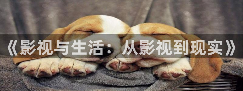 南瓜影视大全在线电视剧免费观看：《影视与生活：从影视到现实》