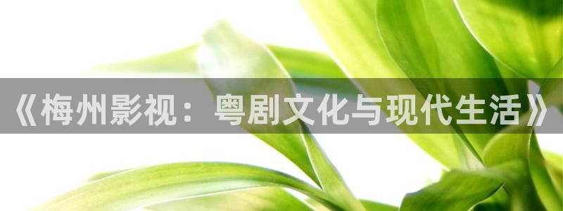南瓜电影免费观看全部：《梅州影视：粤剧文化与现代生活》