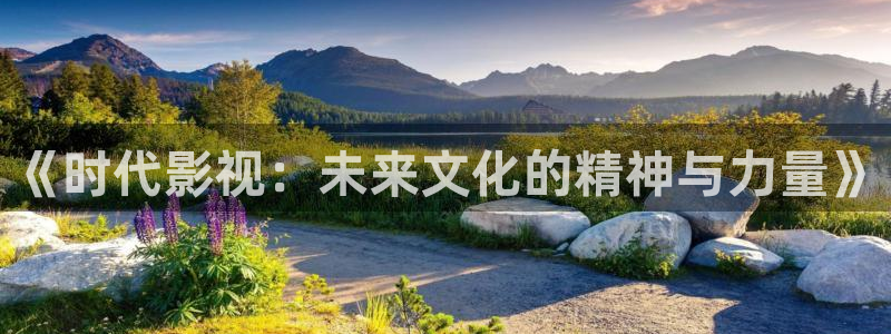 宁夏南瓜：《时代影视：未来文化的精神与力量》